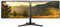 Dell Dual monitor Bundle Set - 2x P2414H 24 Inch Full HD 1080p IPS LED Monitor, VGA DVI DISPLAY Ports, Dual Monitor Leg Base Stand (Renewed)