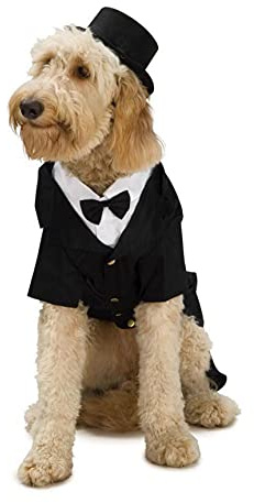 Rubies Official Dapper Suit Pet Dog Costume Halloween