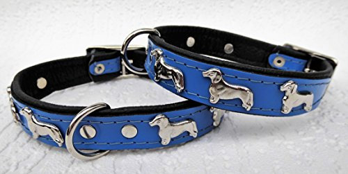 *DACKEL* Hunde Halsband, Leder, Halsumfang 28-31cm, 30-36cm, 36-41cm,* BLAU* NEU (28,31cm)