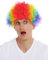 WIG ME UP - MMAM-15M Perücke Karneval Afro Regenbogen bunt Krause Locken Clown Damen Herren