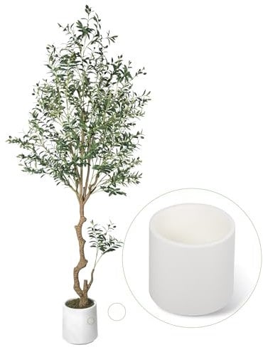 CQURE 240CM Artificial Olive Tree, Tall Faux Olive Plant Indoor Potted Fake Olive Leaves with Natural Wood Trunk and Lifelike Fruits for Home Office Living Room Decor (Includes White Pot)