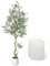 CQURE 240CM Artificial Olive Tree, Tall Faux Olive Plant Indoor Potted Fake Olive Leaves with Natural Wood Trunk and Lifelike Fruits for Home Office Living Room Decor （Includes White Pot）