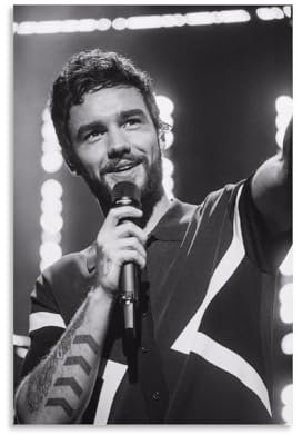 Liam Payne Gedenkposter Sänger (15), coole Kunstwerke, Gemälde, Wandkunst, Leinwanddrucke, hängende Bilder, Poster, 20 x 30 cm