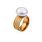 Titan Damen Ring, Freundschaftsring Gold mit Muschel Perle Ring Größe 54 (17.2)