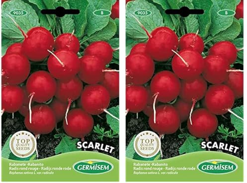 Germisem Scarlet Semillas de Rábano 15 g (EC9035) (Paquete de 2)