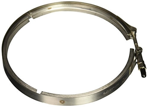 Hayward SX310N - Abrazadera de repuesto para filtro de arena Pro y Pro Series Plus