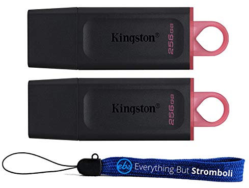 Kingston 256GB USB Flash Drive Exodia DataTraveler (Bulk 2 Pack) USB 3.2 Type-A Drives 100MB/s High Speed PenDrives for Computer or Laptop (DTX/256GB) Bundle with (1) Everything But Stromboli Lanyard