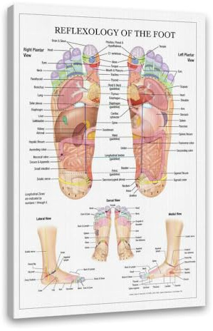 KUBAPIG Fußreflexzonenmassage, Akupunkt-Diagramm, Anatomie, Kunst, Leinwand, Gemälde, gedrucktes Poster, Heimdekoration, medizinische Ausbildung, Wandbilder (28 x 35 cm, Holzrahmen)