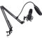 lyrlody Cardioid Condenser USB Microphone, Plug and Play PC Podcast Mic Kit, Metal Adjustable Arm, for Gaming, Streaming, with Bracket, Foam Cover