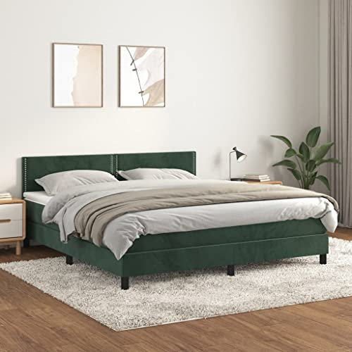 Willood Boxspringbett mit Matratze Dunkelgrün 160x200 cm SamtFlach mit Nägeln