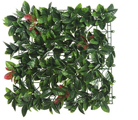 PRGN SIEPE Artificiale PHOTINIA 100X100CM Verde Decoro CASA Giardino
