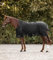 Waldhausen Outdoordecke Arctic, High Neck 100 g, schwarz, 135 cm