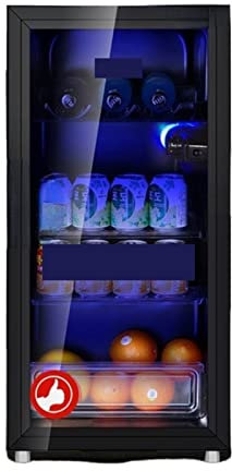 GaRcan Réfrigérateurs compacts, réfrigérateurs Noirs pour la Maison, Mini-réfrigérateur 220 V, Petit Meuble de Conservation des Boissons, congélateur électrique
