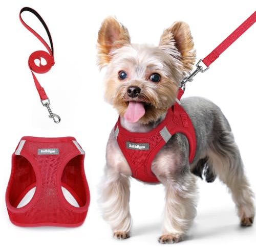 rabbitgoo Hundegeschirr Kleine Hunde mit Leine Step-in, Rot, XS