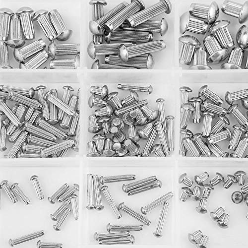 Oumefar 250 Pezzi Rivetti zigrinati Rivetti a Testa Tonda con Gambo Solido M2-M5 assortimento di Rivetti in Acciaio Inossidabile con Scatola di plastica divisoria
