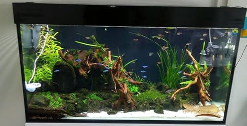 Aquarium Terrarium e-Safe Unterlage Optimierung Sicherheit und Sparsamkeit (80 x 35 cm)