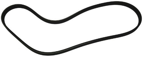 QH QBR4913 Drive Belt