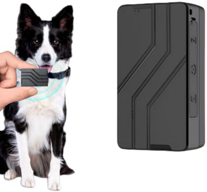 MARKTFÜHRER CAT Mini GPS Tracker für Katzen, Live-Ortung, Positionsverlauf, Gesundheitsalarme, Aktivitätenverfolgung, inklusive Halsband