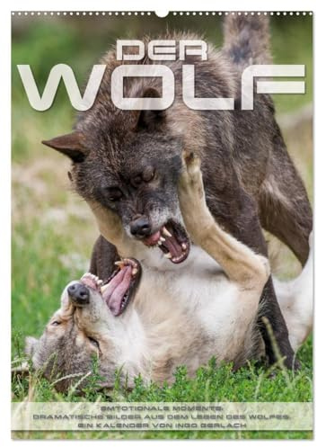 Emotionale Momente: Der Wolf. (Wandkalender 2026 DIN A2 hoch), CALVENDO Monatskalender: Herrliche Fotos vom Wolf in seinem Lebensraum. (CALVENDO Tiere)