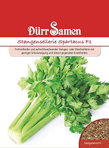 Dürr-Samen - Bleich-Stangensellerie Saatgut