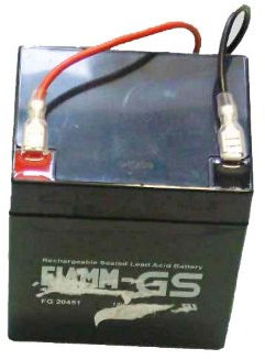 Hayter Genuine HY412009 12V Battery