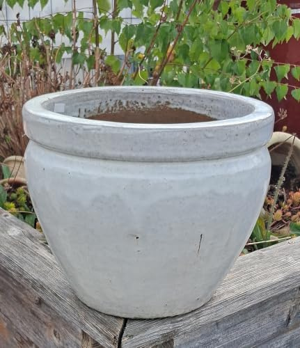 terracotta-toepfe-de B-Ware !! Winterfester Blumentopf 30 cm Durchmesser aus Steinzeug weiß glasiert für Garten und Wohnung Terrasse Balkon Pflanztopf Übertopf Gefäß