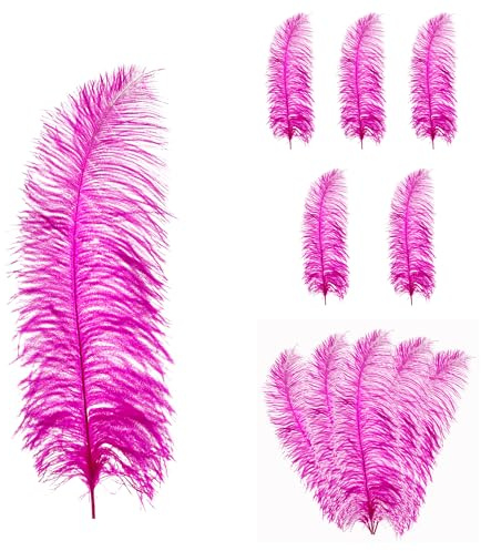 Trimming Shop 19-23(50cm - 60cm) Large Ostrich Feathers, Hot Pink, 5pcs | Showgirl Spadones for Decorating Costumes, Headdresses, Weddings & Party Table Decoration, Playing with Pets and Horse Plume