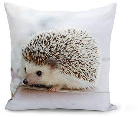 Fabulous Kissen Kissenbezug 40x40 cm Süßer weißer Igel Gartentiere Wilde Natur