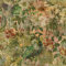 Holden Decor WTD 13190 Papier peint Motif oiseaux exotiques Motif paon vintage