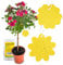 Chillife Gelbsticker Set I Gelbtafeln gegen Trauermücken, Verschiedene Designs I inkl. Bindedrähten Doppelstäbchen und Schaufel I Gelbsticker Trauermücken, Gelbfalle für Trauermücken (20er Set)
