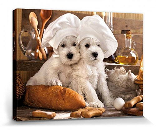 1art1 Hunde Poster Zwei Zuckersüße Hündchen Bilder Leinwand-Bild Auf Keilrahmen | XXL-Wandbild Poster Kunstdruck Als Leinwandbild 80x60 cm