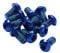 Reverse Bremsscheiben Befestigungs- Schrauben-Set 12 Stück M5x10mm blau