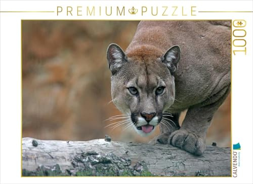 CALVENDO Puzzle Puma | 1000 Teile Lege-Größe 64 x 48 cm Foto-Puzzle für glückliche Stunden