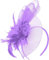 Purple Fascinator Headband Flower Wedding Ascot Races Net Hat Feathers