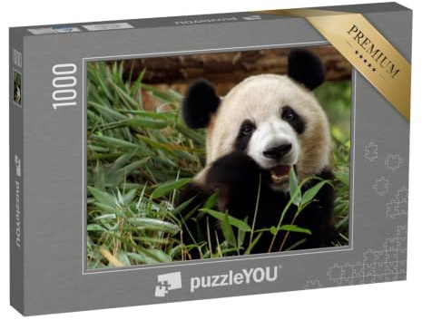 puzzleYOU: Puzzle 1000 Teile „Großer Panda genießt Seine Bambus-Mahlzeit“ – aus der Puzzle-Kollektion Pandas, Exotische Tiere & Trend-Tiere