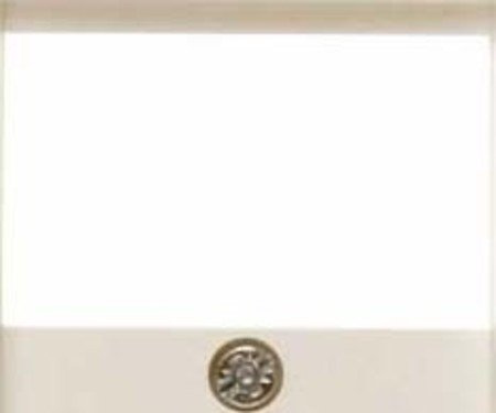 Hager S1 – Central Plate Socket TAE White Brightness