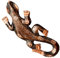Wogeka Schönes 20 cm Gecko Wand Relief Holz Tier Handarbeit Bali Gecko08
