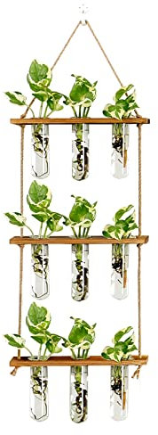 XXXFLOWER Wandbehang Anzuchtstation mit Holzständer Glas Reagenzgläser gestufte Pflanzgefäße Wandterrarium für Home Office Pflanzenhänger Blumenvasen Wanddekoration Hydrokultur-Stecklinge (9