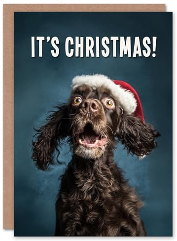 Artery8 Christmas Card Cocker Spaniel Photograph Dog in Santa Hat Funny