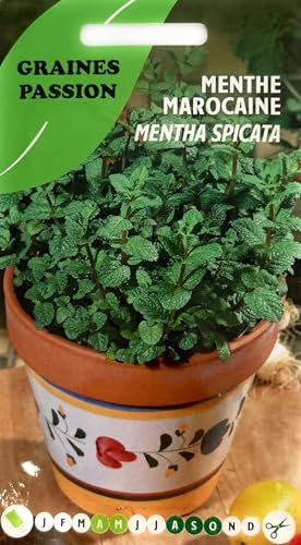 Graines Passion sachet de graines Menthe Marocaine