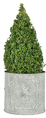 zeitzone Pflanztopf Rund Löwenkopf Pflanzschale Eisen Grau Patiniert 25x25cm