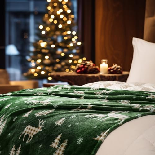PHF Kuscheldecke Flauschig Fleecedecke 130x150cm - Oeko-Tex Weich Warm Wohndecke, Decke Blanket für Couch Sofa Bett, Tagesdecken & Kuscheldecken, Sofa überwurfdecke, Nördlicher Winter