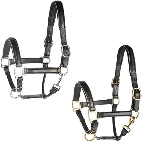 Harry's Horse Halfter Leder schwarz mit Bies, Farbe:Silver, Größe:Pony