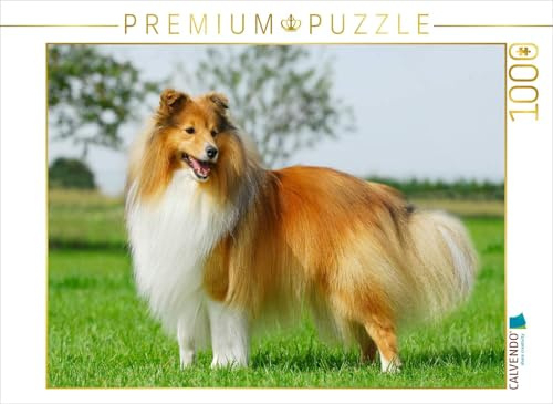 CALVENDO Puzzle EIN Motiv aus dem Kalender Sheltie 2017 | 1000 Teile Lege-Größe 64 x 48 cm Foto-Puzzle für glückliche Stunden