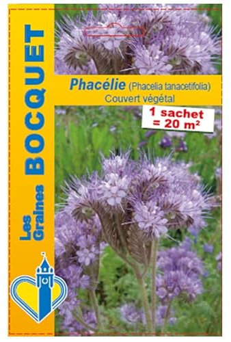 Sachet de graines de Phacélie (Phacelia tanacetifolia) - 100 g - LES GRAINES BOCQUET