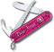 Victorinox Kinder Taschenmesser My First Wunsch Druck I Name auf der Schale I Geschenk I zum Geburtstag I Schweizer Taschenmesser personalisiert 9 Funktionen 0.2373.T (pink transparent)
