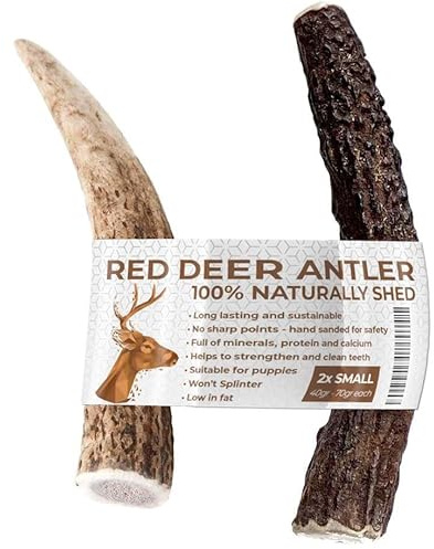 Two Antler Chews for Puppies, SMALL, Sustainable, Naturally Shed, Deer Antlers, Puppy Toys, Small Dog Toys