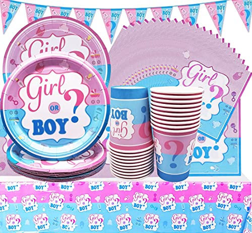 SHAMO 62 Pz-Stoviglie Feste Blu e Rosa,Piatti Baby Shower Adatto per Feste di Rivelazione di Genere,Feste di Compleanno di Ragazzi e Ragazze,20 Ospiti Include Bandiera Tovaglia Tazza Tovagliolo Piatti