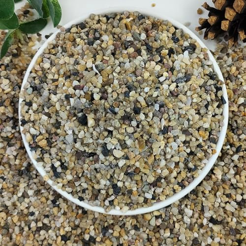 YISZM 5lbs Aquarium Gravel, 1/8(2-4mm) Natural River Rocks Succulent Cactus Pea Gravel for Plants, Fish Tank, Decorative Pebbles for Gardening, Flower Pots, Vase Fillers, Landscaping