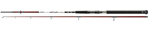 Cormoran - Seacor Bat Heavy Pilk 2tlg. - 100-200g - 2.40m